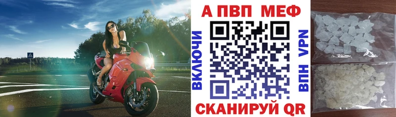 A PVP СК КРИС  Обнинск 