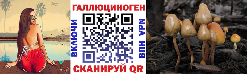 Галлюциногенные грибы ЛСД  Обнинск 
